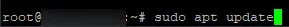 Terminal ejecutando sudo apt update en el VPS Ubuntu